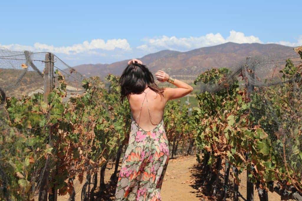 Valle De Guadalupe - Mexico's Wine Country - Sunny Coastlines