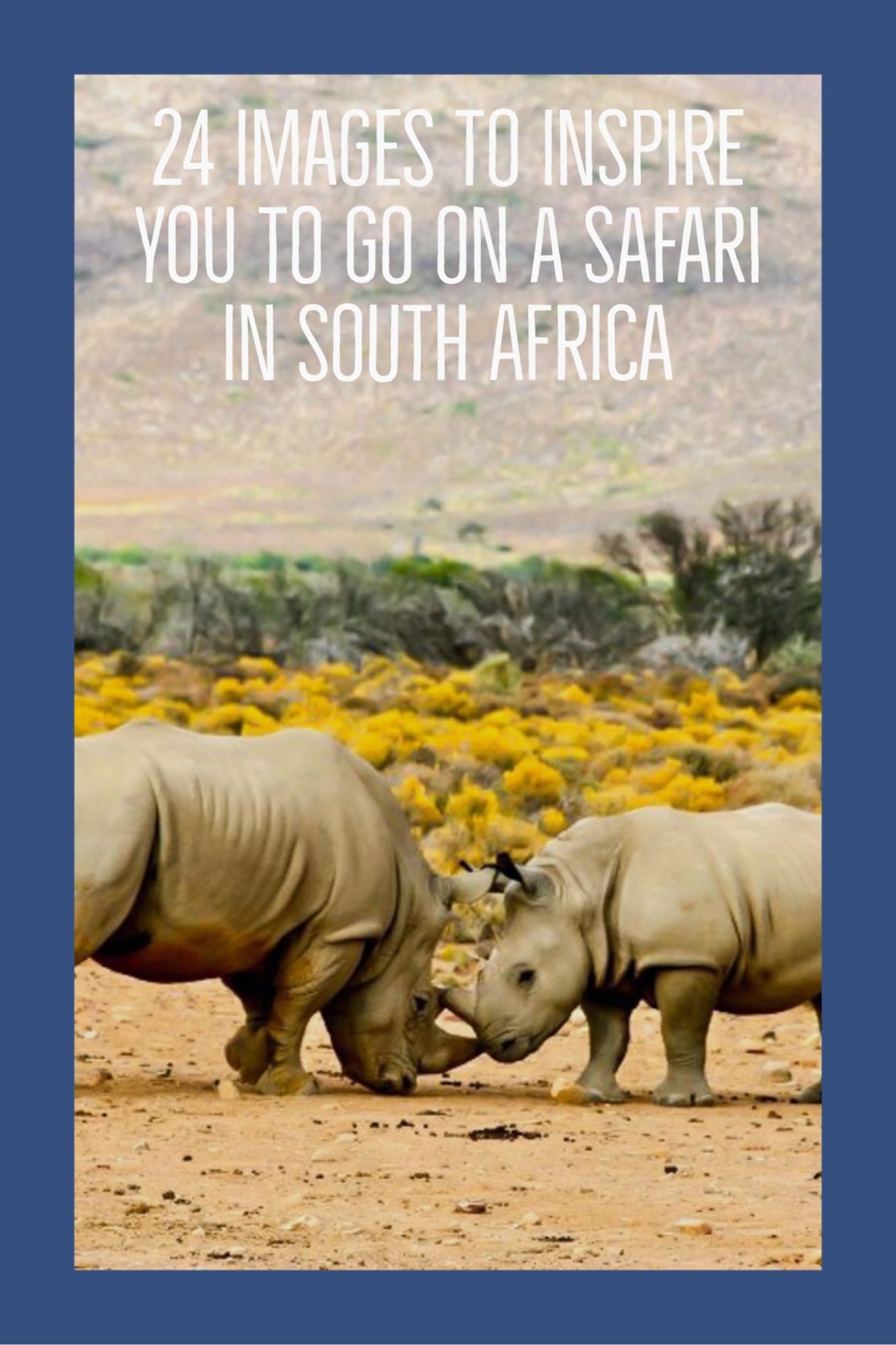 24 Images to Inspire You to go on a Safari in South Africa
