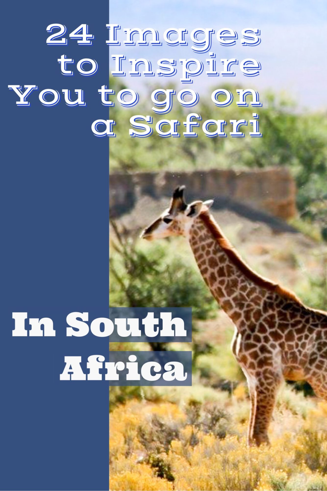 24 Images to Inspire You to go on a Safari in South Africa