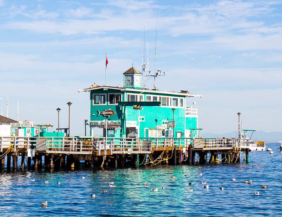 Weekend Guide to Catalina Island - Sunny Coastlines Travel Blog