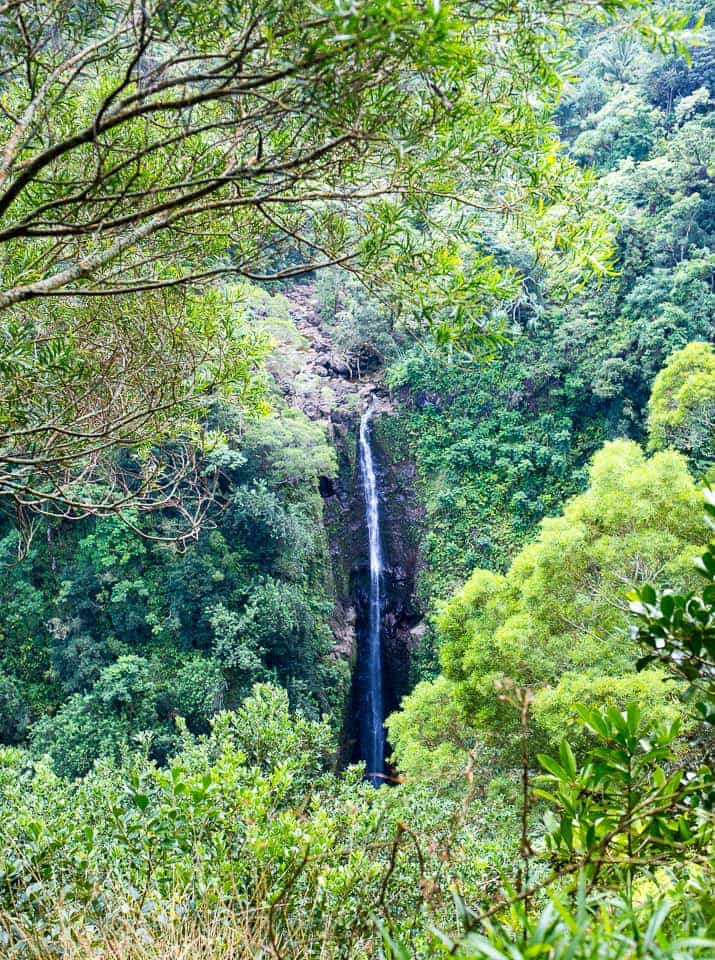19 Images to Inspire You to Drive the Road to Hana - Sunny Coastlines Travel Blog