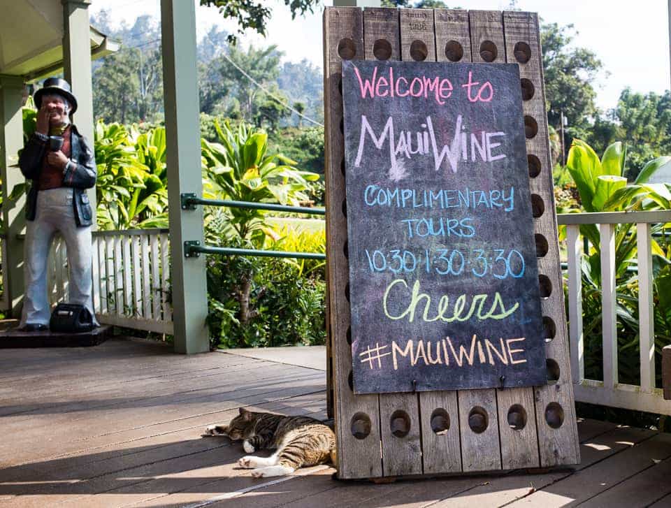 Enjoy the Journey - MauiWine - Sunny Coastlines Travel Blog