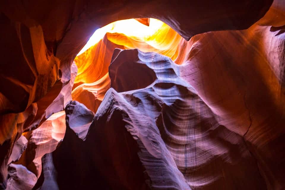 antelope canyon bear