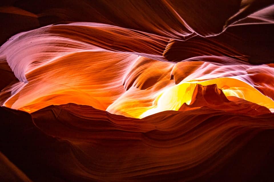 antelope canyon bear