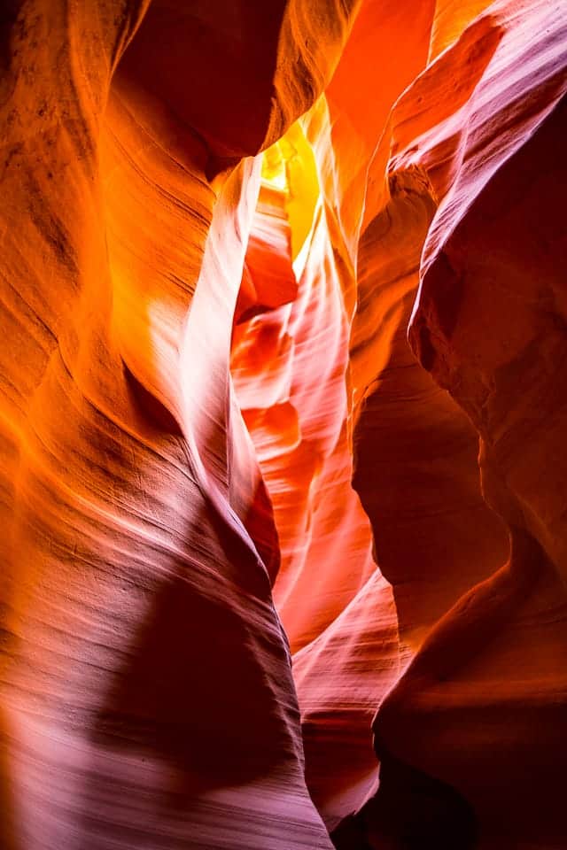 antelope canyon bear