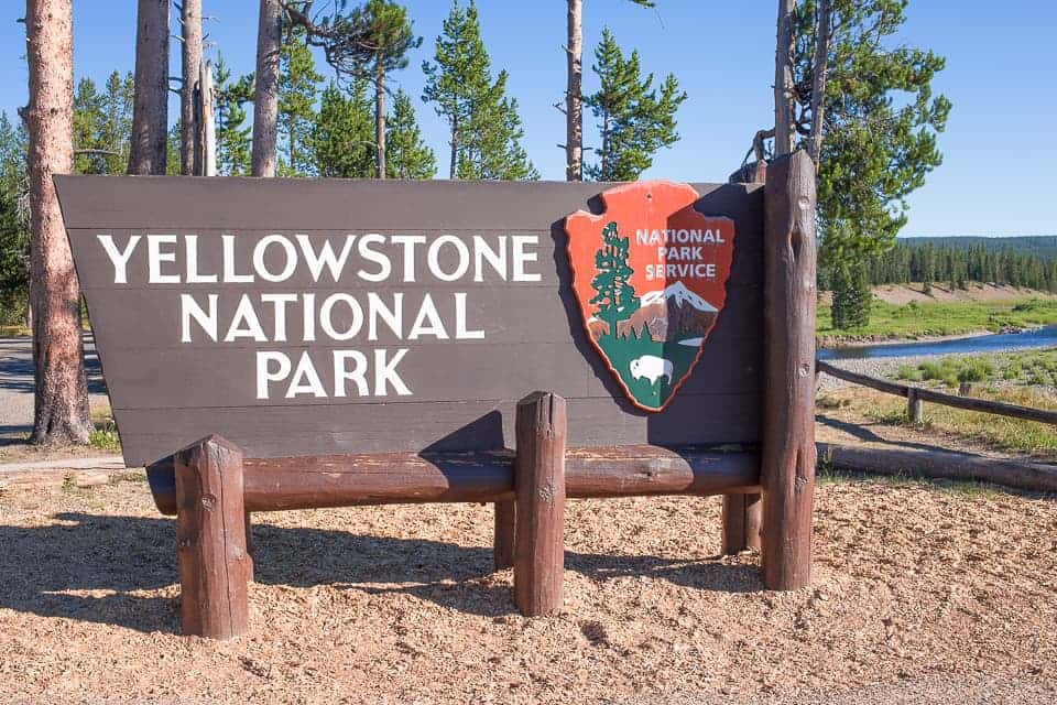 Yellowstone National Park, and its Wildlife ~ Sunny Coastlines Travels
