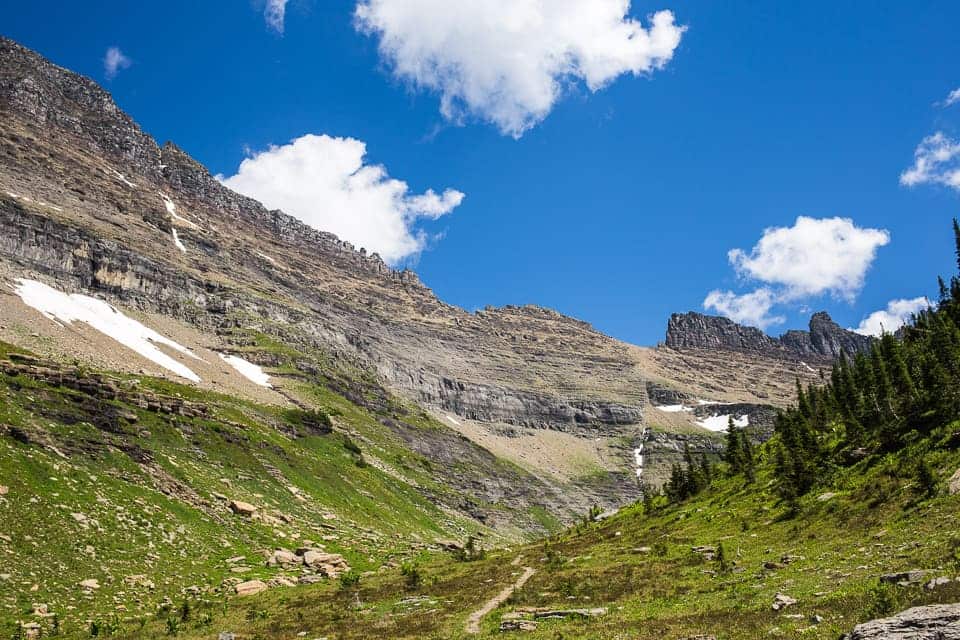 Mountain Views and Fields of Flowers - Glacier National Park's Highline Trail ~ Sunny Coastlines Travels