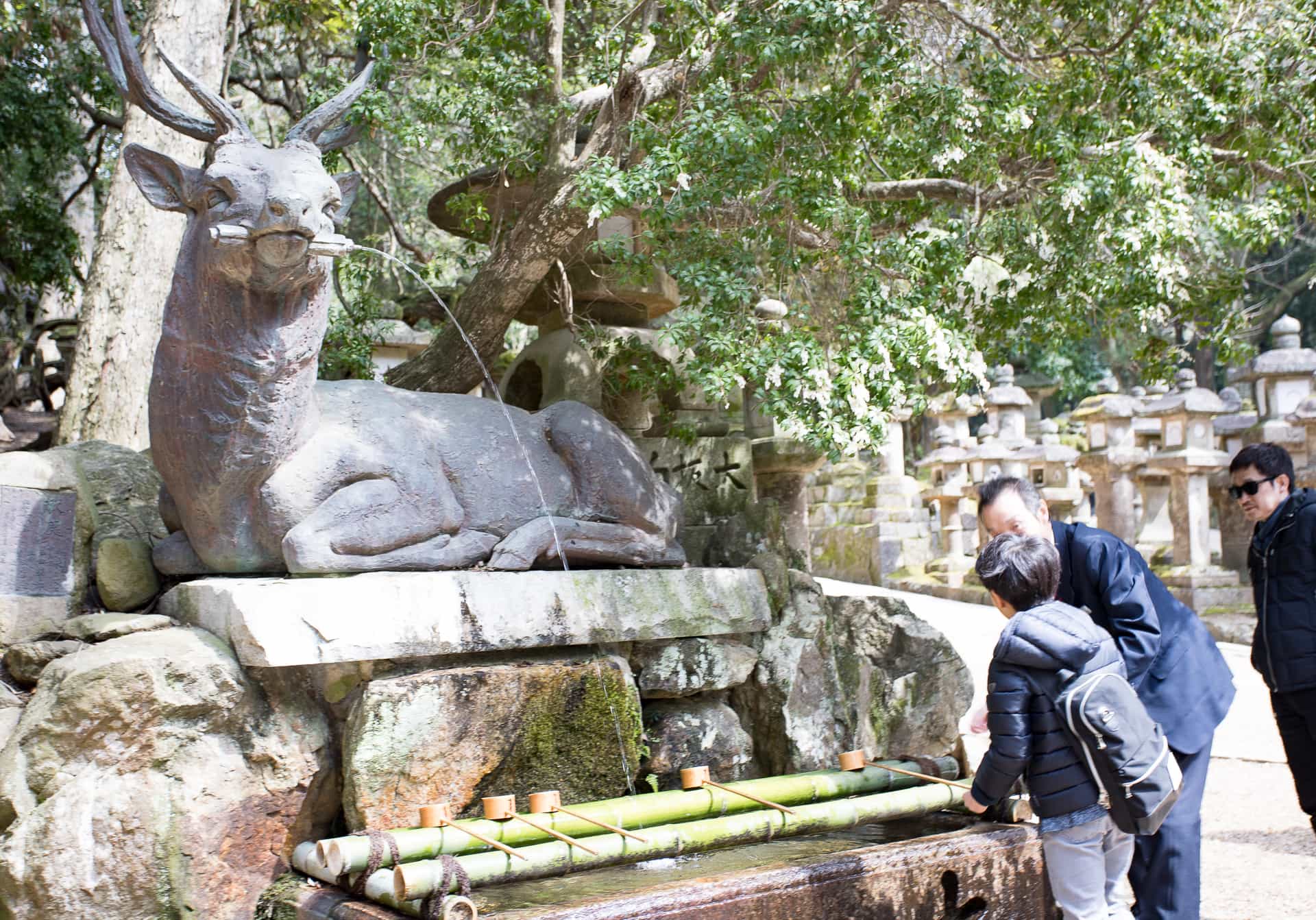 Discovering Nara: Japan's Ancient City ~ Sunny Coastlines Travel Blog