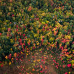 Drifting Over Vermont Fall Foliage With Above Reality Hot Air Balloon Rides