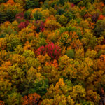 Drifting Over Vermont Fall Foliage With Above Reality Hot Air Balloon Rides
