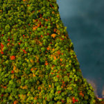 Drifting Over Vermont Fall Foliage With Above Reality Hot Air Balloon Rides