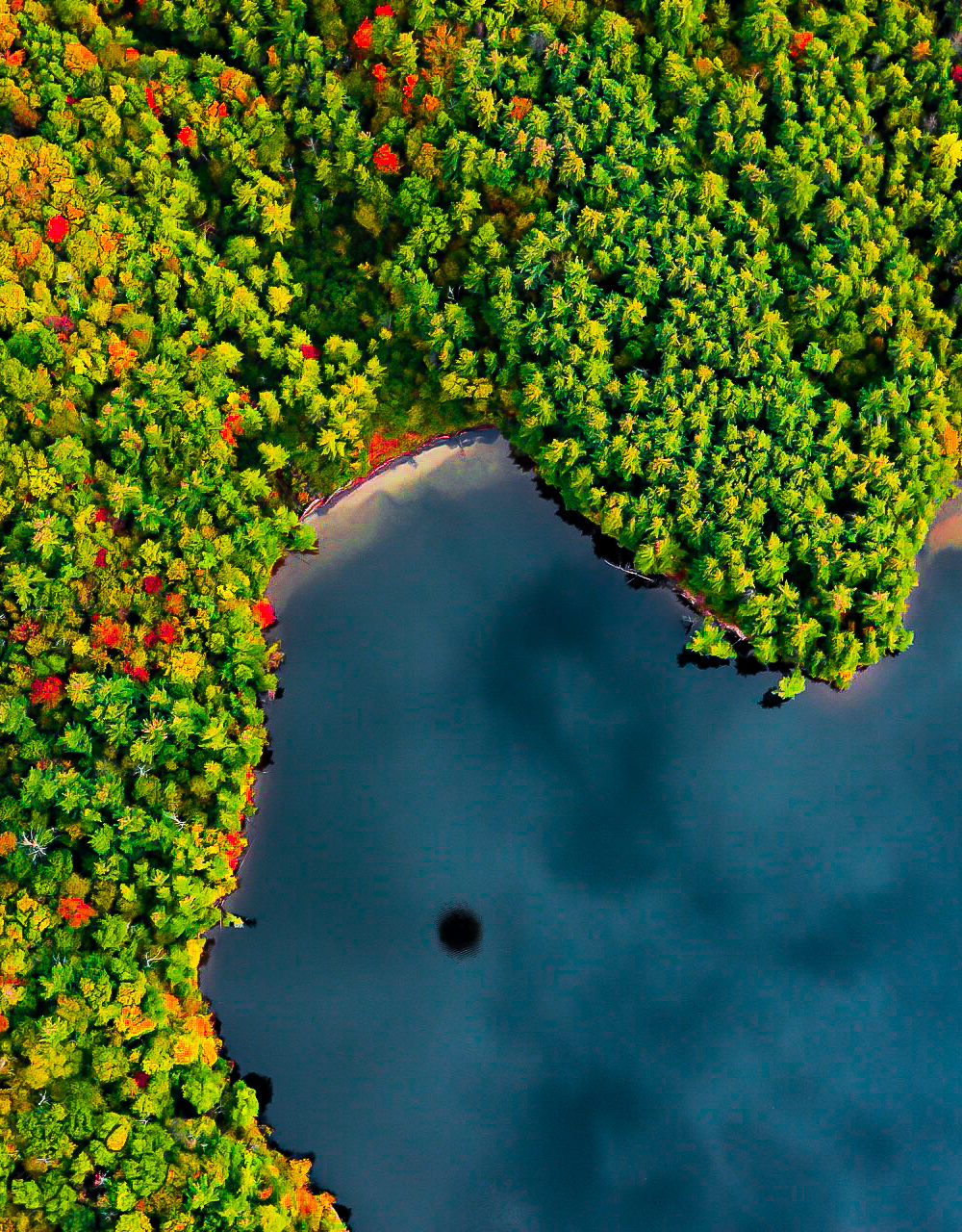 Drifting Over Vermont Fall Foliage With Above Reality Hot Air Balloon Rides