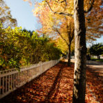 An Autumn Weekend In Woodstock, Vermont