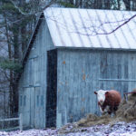 Vermont | Spend the Holidays at the Woodstock Inn | Woodstock, Vermont featured by top Boston travel blog Sunny Coastlines