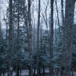 Vermont | Spend the Holidays at the Woodstock Inn | Woodstock, Vermont featured by top Boston travel blog Sunny Coastlines