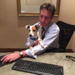 The Luxury Hotel in Maine Giving Dogs a Second Chance | Inn By The Sea