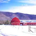 Spending Winter Days With Field Guide in Stowe Vermont