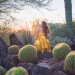 Desert Botanical Garden