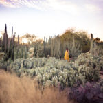 Desert Botanial Garden