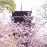 Kyoto