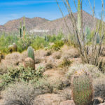 hike mesa wind cave trail