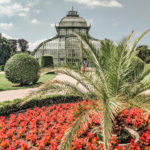 Schonbrunn Palace - Top Things to do in Vienna: a 4 Day Itinerary featured by popular Boston travel blogger, Sunny Coastlines