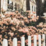 A New England Travel Guide: Salem, Ma - A New England Weekend Getaway Guide: Salem, Ma featured by popular Boston travel blogger, Sunny Coastlines
