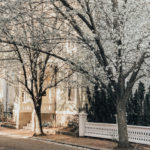 A New England Travel Guide: Salem, Ma - A New England Weekend Getaway Guide: Salem, Ma featured by popular Boston travel blogger, Sunny Coastlines