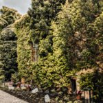 Vienna Heurigen - Top Things to do in Vienna: a 4 Day Itinerary featured by popular Boston travel blogger, Sunny Coastlines