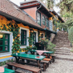 Viennese Heurigen - Top Things to do in Vienna: a 4 Day Itinerary featured by popular Boston travel blogger, Sunny Coastlines