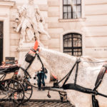 Top Things to do in Vienna: a 4 Day Itinerary - Top Things to do in Vienna: a 4 Day Itinerary featured by popular Boston travel blogger, Sunny Coastlines