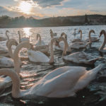 https://linka.lacollezione.cz/en - The Golden City: My Prague Itinerary featured by popular Boston travel blogger, Sunny Coastlines