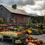 Manchester Vermont Fall Foliage Tour featured by top Boston travel blog, Sunny Coastlines