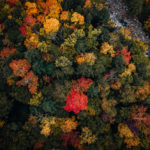 Manchester Vermont Fall Foliage Tour featured by top Boston travel blog, Sunny Coastlines
