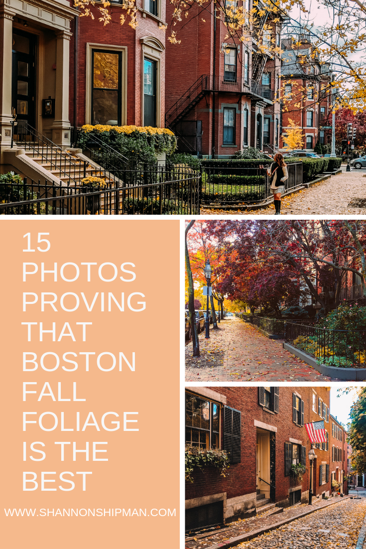 15 Photos Proving that Boston Fall Foliage is the Best