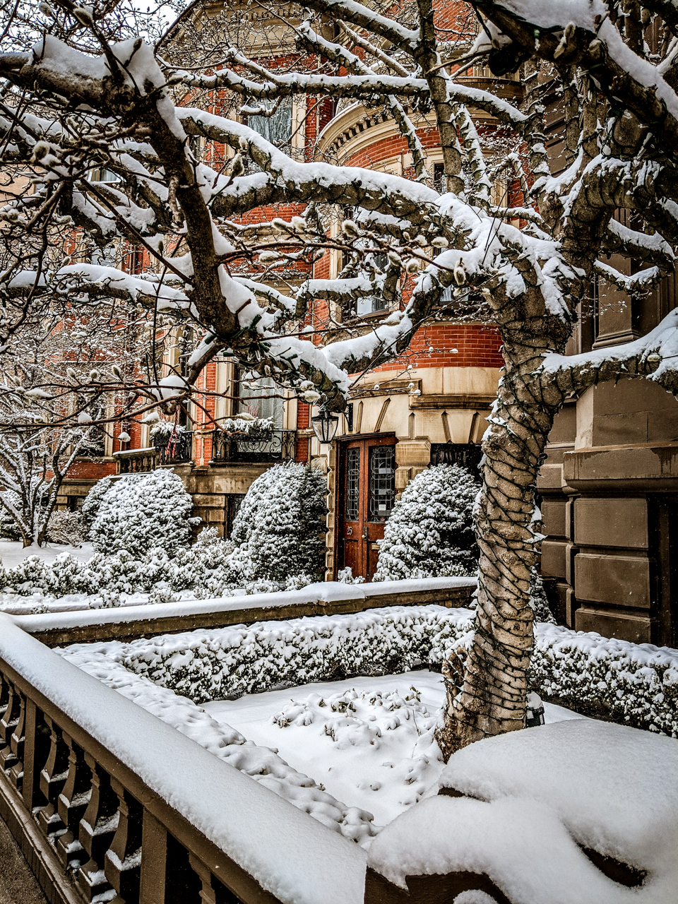 5 Boston Streets to Photograph in Winter featured by top Boston blogger Shannon Shipman: Commonwealth Avenue