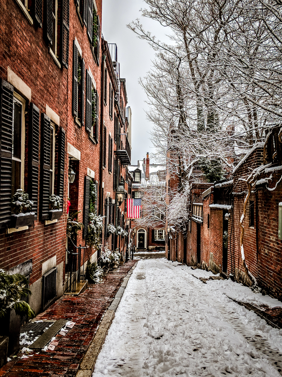 Beacon Hill fresh snow | Ford Realty Inc