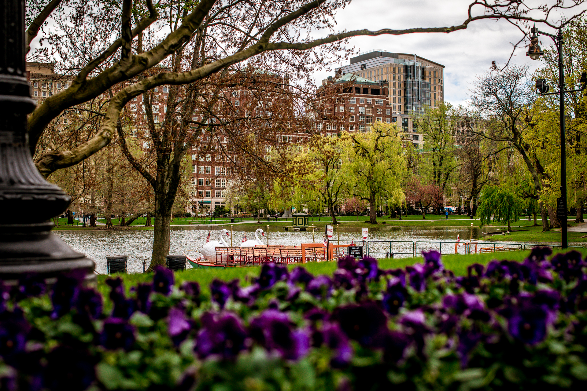 Boston Public Garden Tour featured by top Boston blogger, Shannon Shipman