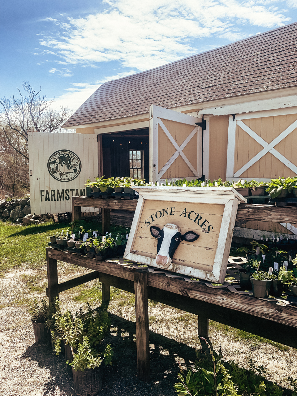 Top 10 Things to Do in Stonington CT on your Weekend Getaway featured by top US travel blogger, Shannon Shipman: image of stone acres farm