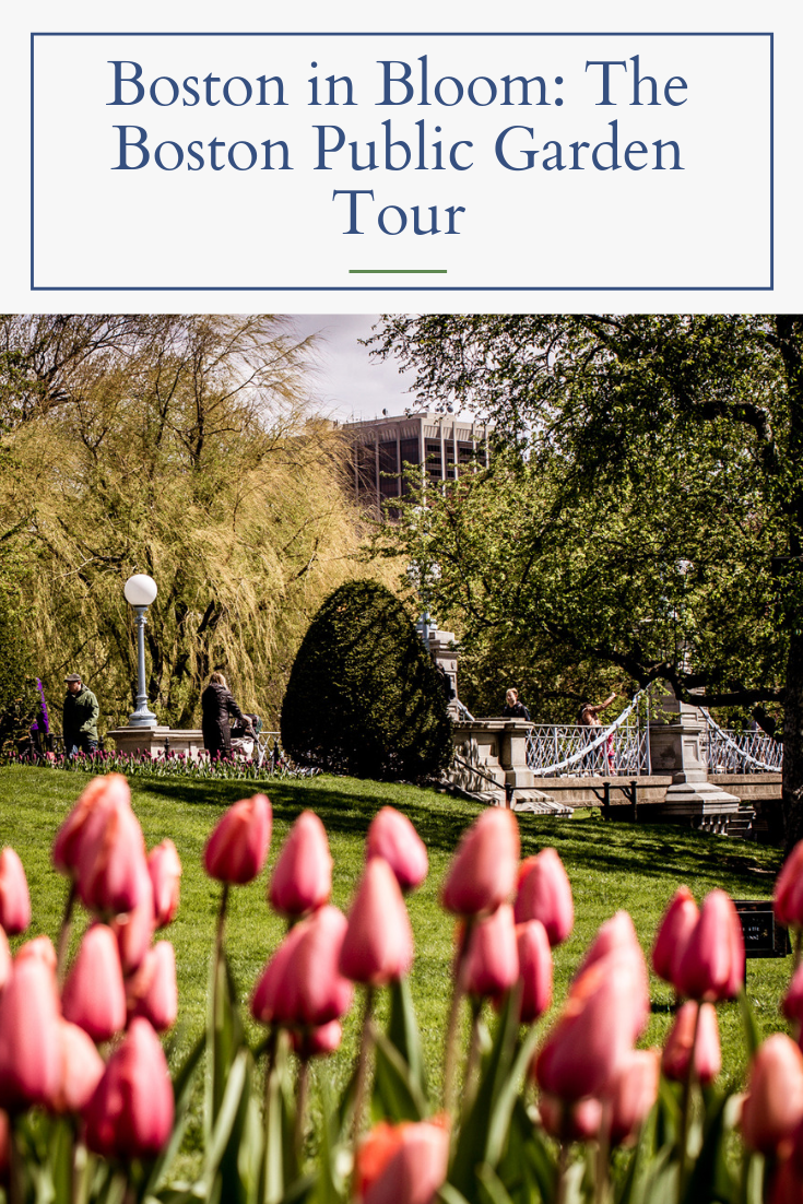 Boston Public Garden Tour featured by top Boston blogger, Shannon Shipman