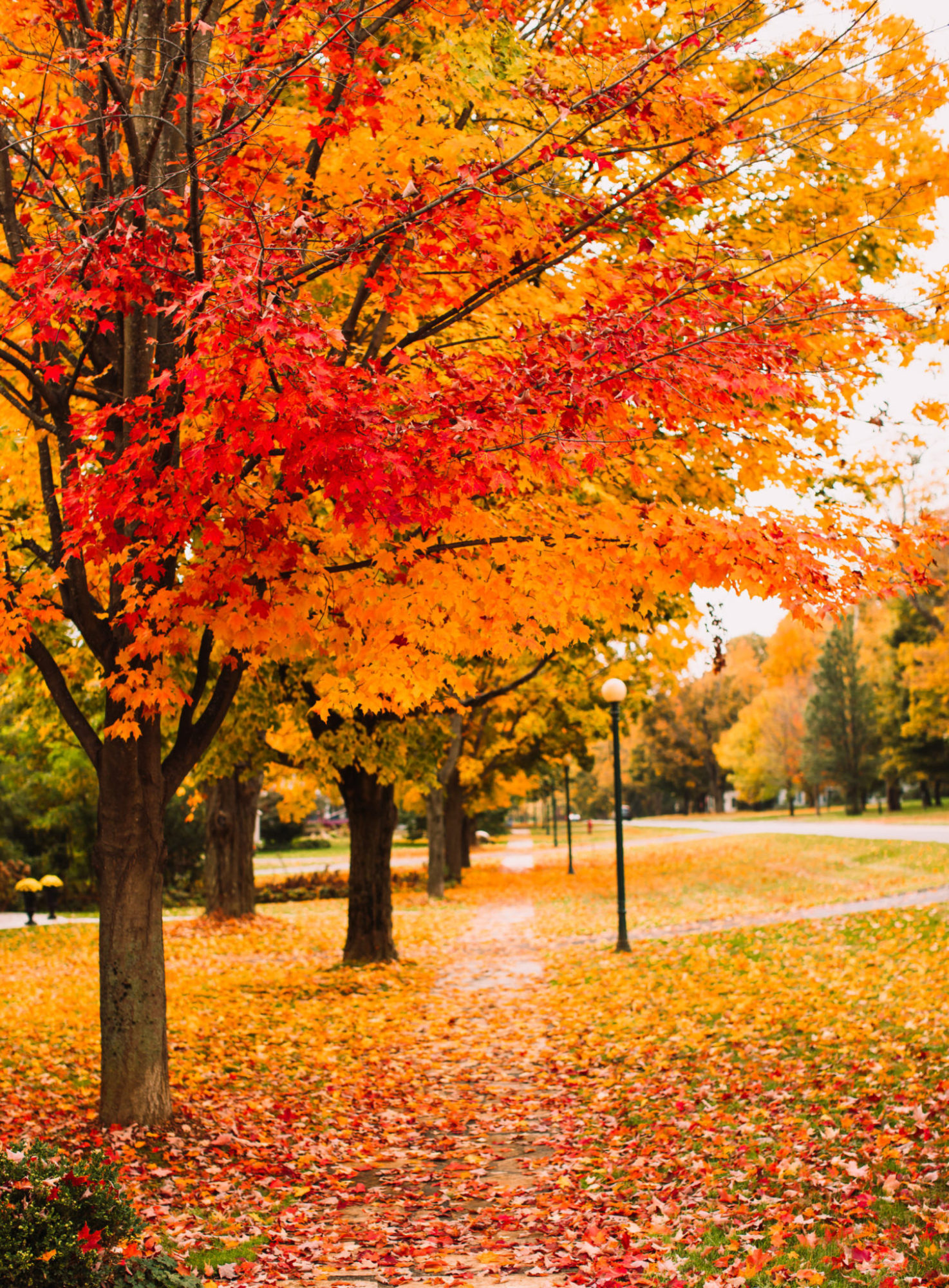 Why Book a Romantic Fall Getaway in New England | Shannon Shipman