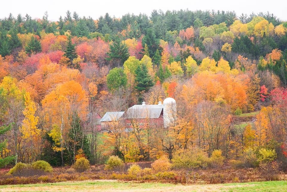 10 Photos That Will Make you Book your Next Romantic Fall Getaway in New England featured by top New England blogger, Shannon Shipman: image of Vermont Route 100