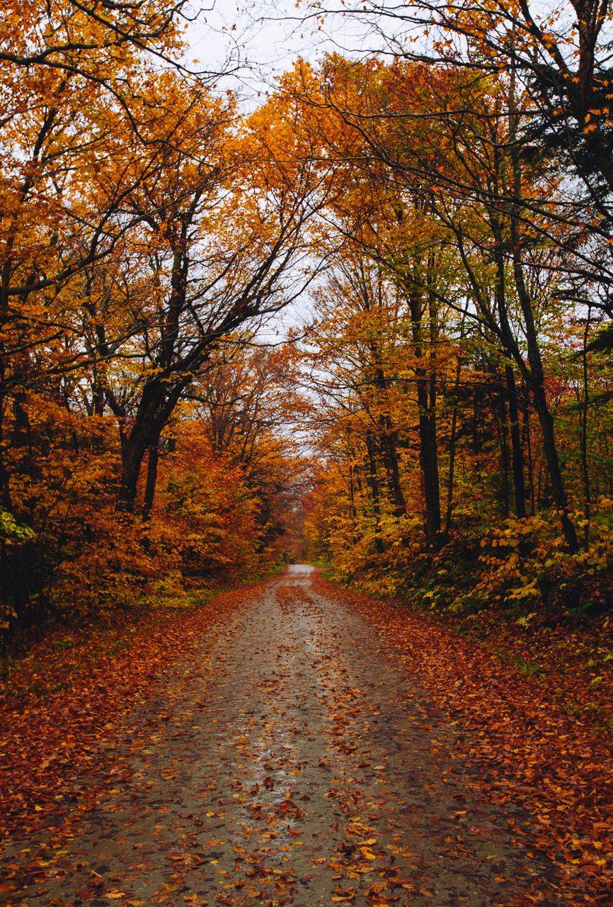 Vermont Fall Foliage travel guide featured by top US travel blogger, Shannon Shipman