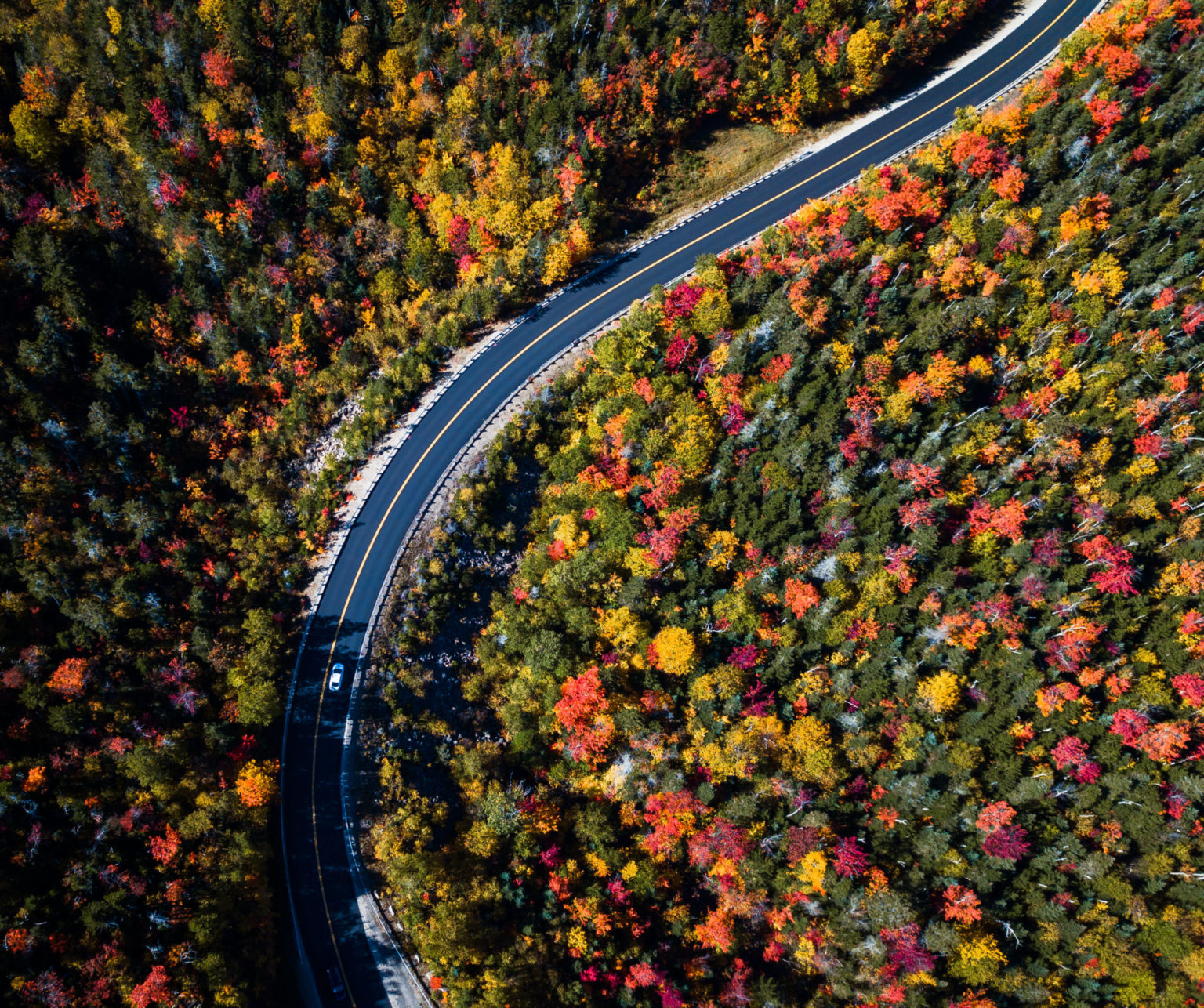 Top 5 Best Scenic Drives in Vermont this Fall / Shannon Shipman Radio