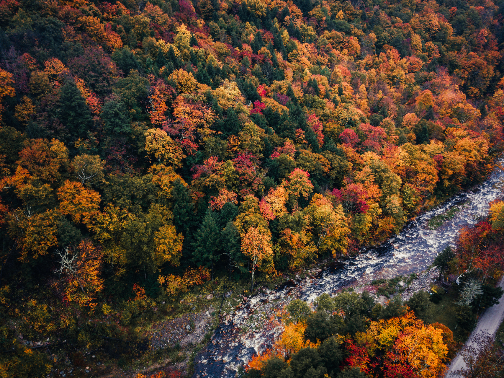 All You Need to Know about Vermont Fall Foliage Shannon Shipman