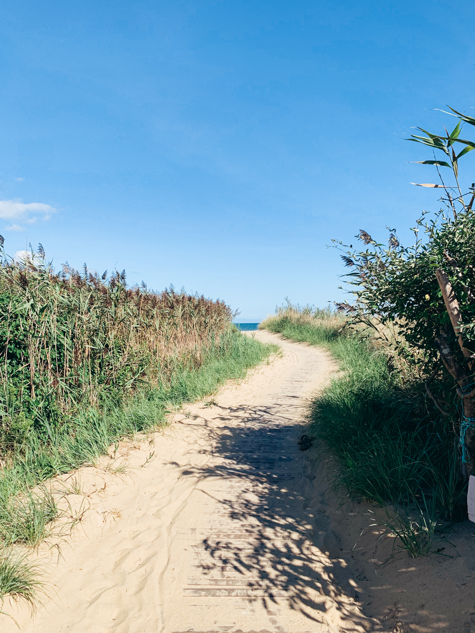 The 5 Best Things to do in Martha's Vineyard in October featured by top New England travel blogger, Shannon Shipman: image of beach path