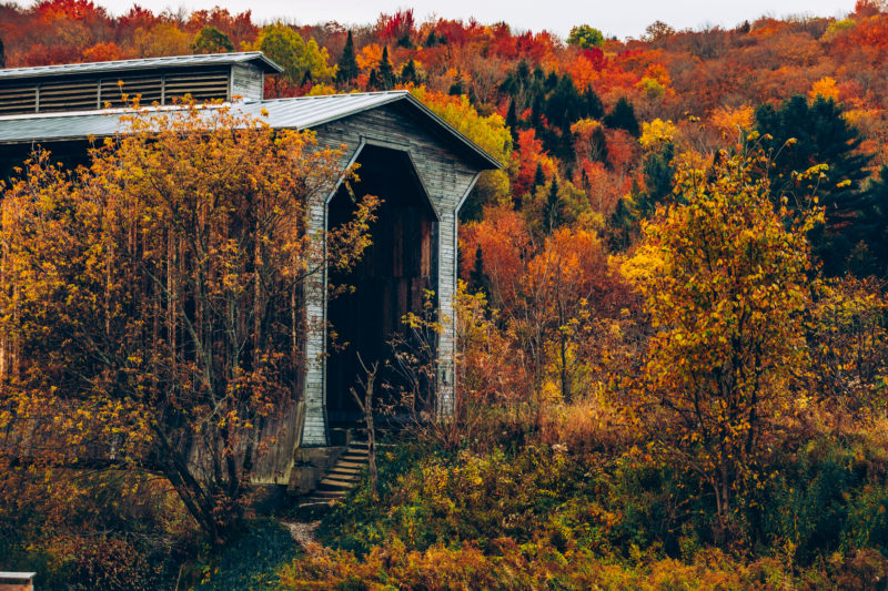 Fine Art New England Print featured by top fine art photographer, Shannon Shipman: image of fisher bridge in Wolcott, vermont