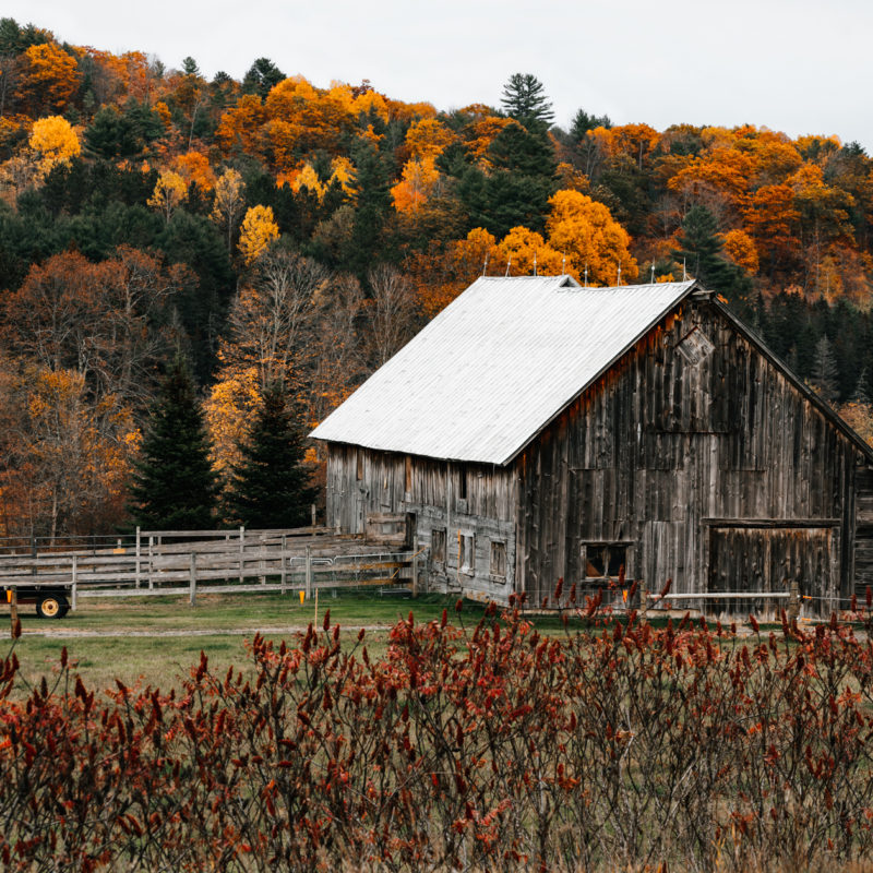 Fine Art New England Print featured by top fine art photographer, Shannon Shipman: image of a barn in Vermont