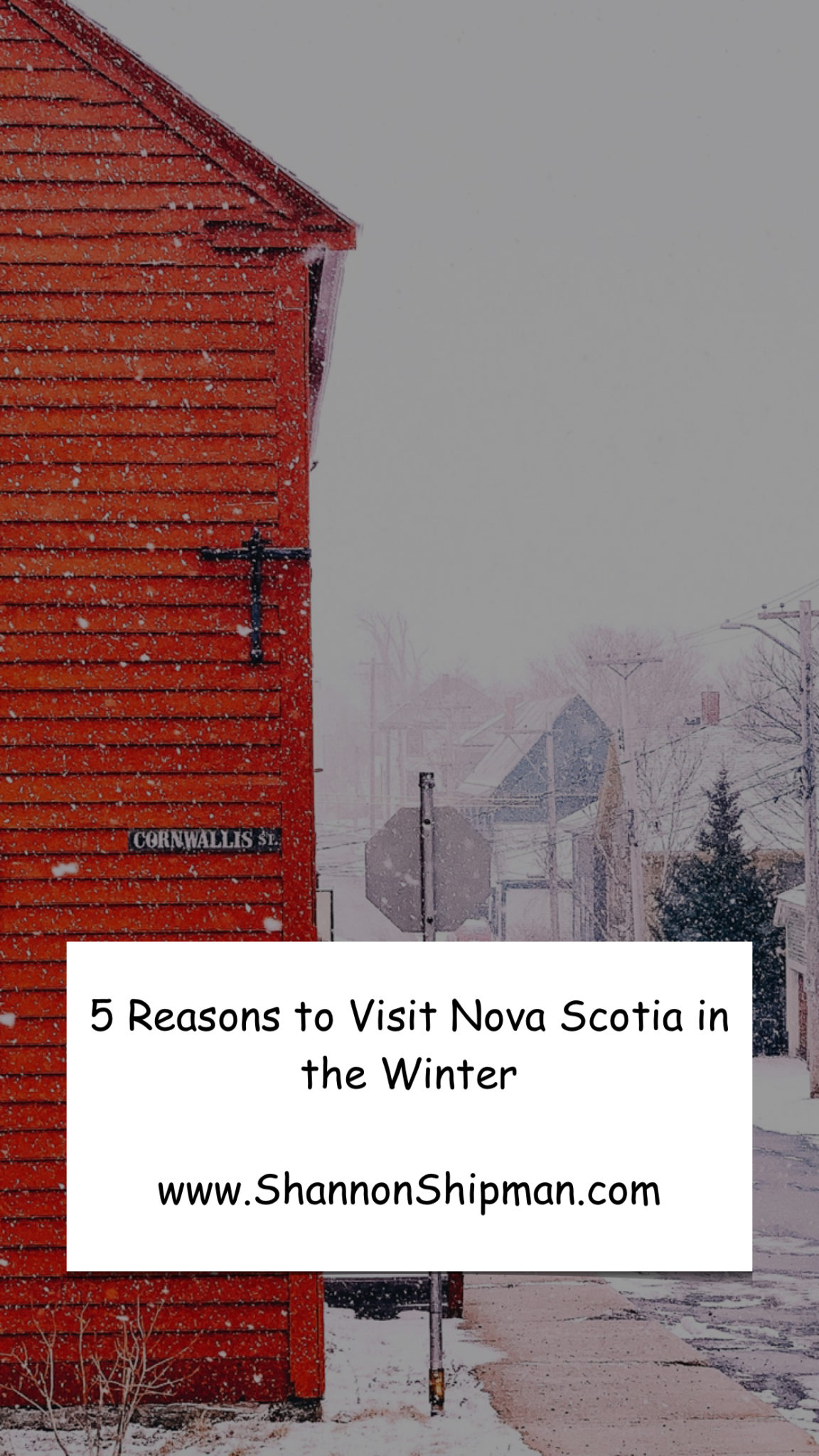 5 Reasons You Should Visit Nova Scotia In The Winter Shannon Shipman