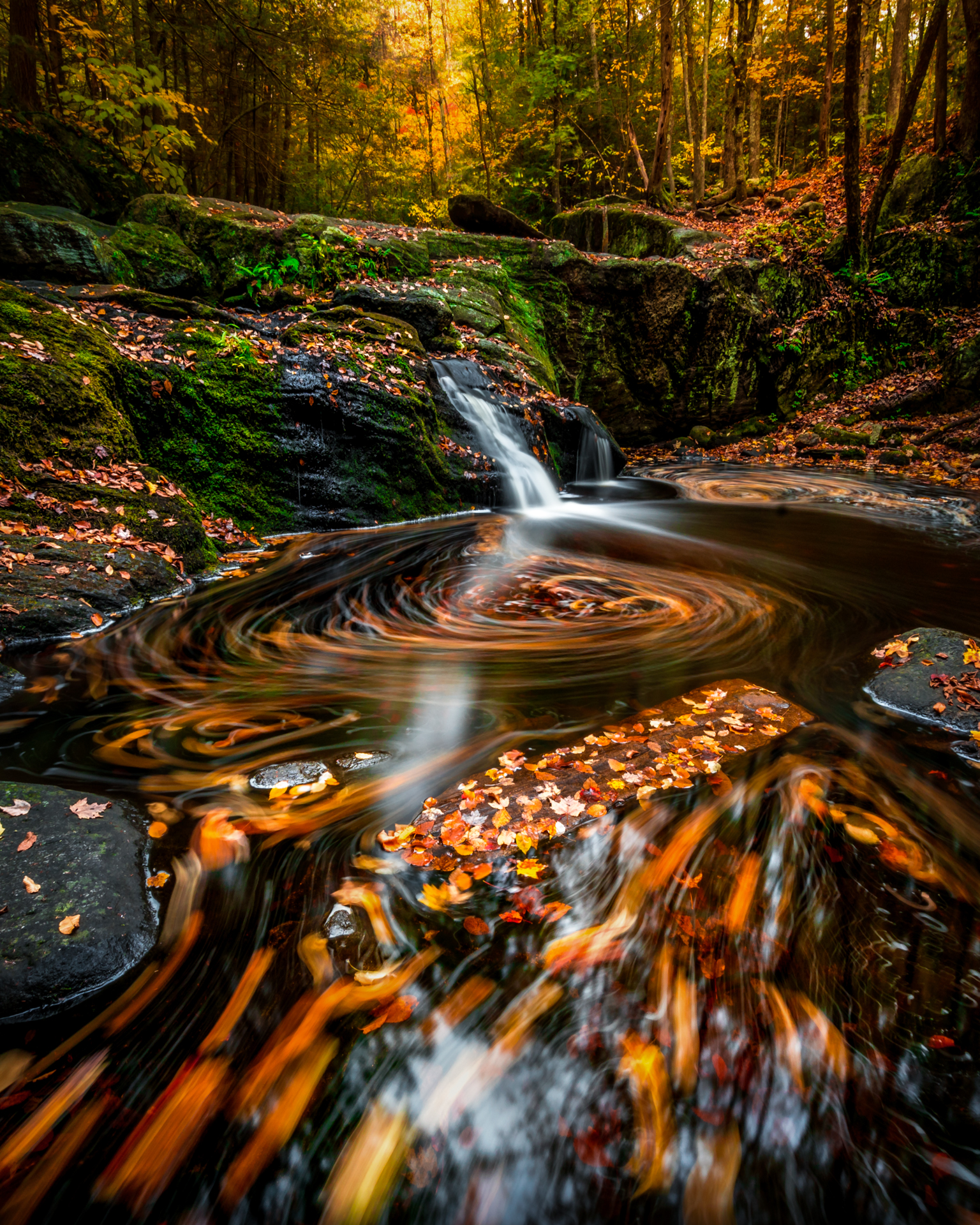 7 Tips On How to Capture Stunning Waterfall Photography